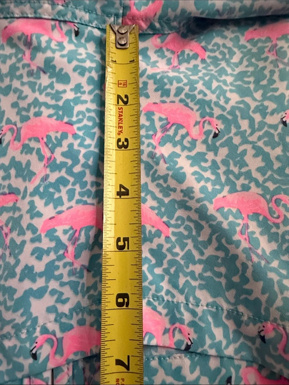 chubbies good size
